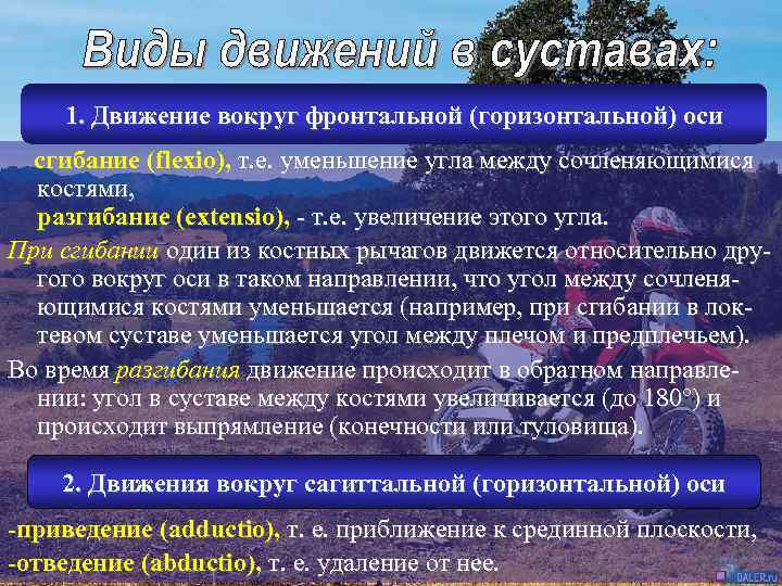 1. Движение вокруг фронтальной (горизонтальной) оси сгибание (flexio), т. е. уменьшение угла между сочленяющимися