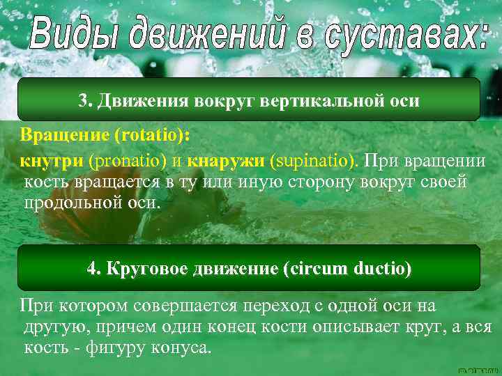 3. Движения вокруг вертикальной оси Вращение (rotatio): кнутри (pronatio) и кнаружи (supinatio). При вращении