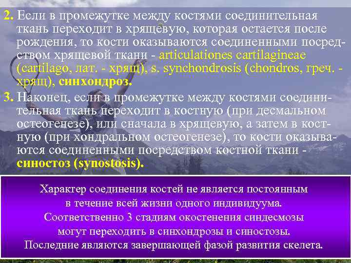 2. Если в промежутке между костями соединительная ткань переходит в хрящевую, которая остается после