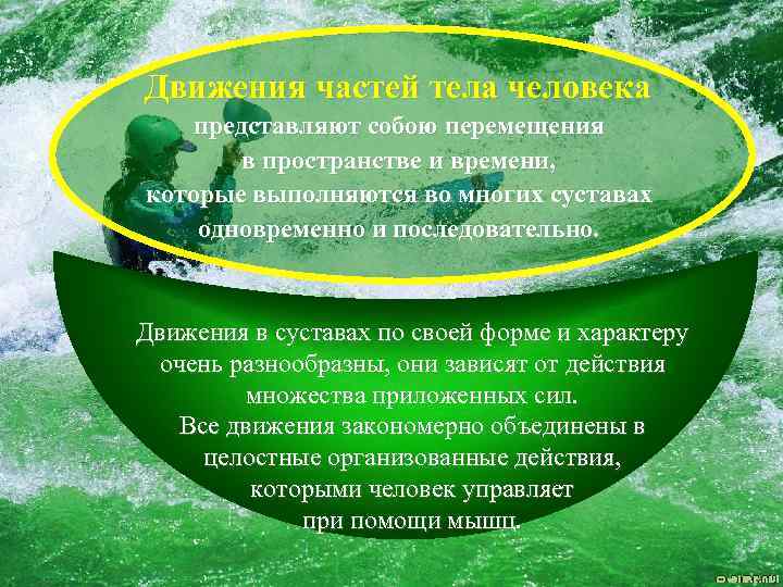 Движения частей тела человека представляют собою перемещения в пространстве и времени, которые выполняются во