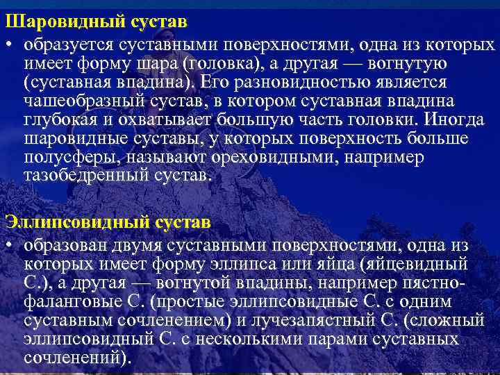 Шаровидный сустав • образуется суставными поверхностями, одна из которых имеет форму шара (головка), а