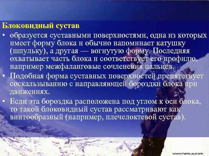 Блоковидный сустав • образуется суставными поверхностями, одна из которых имеет форму блока и обычно