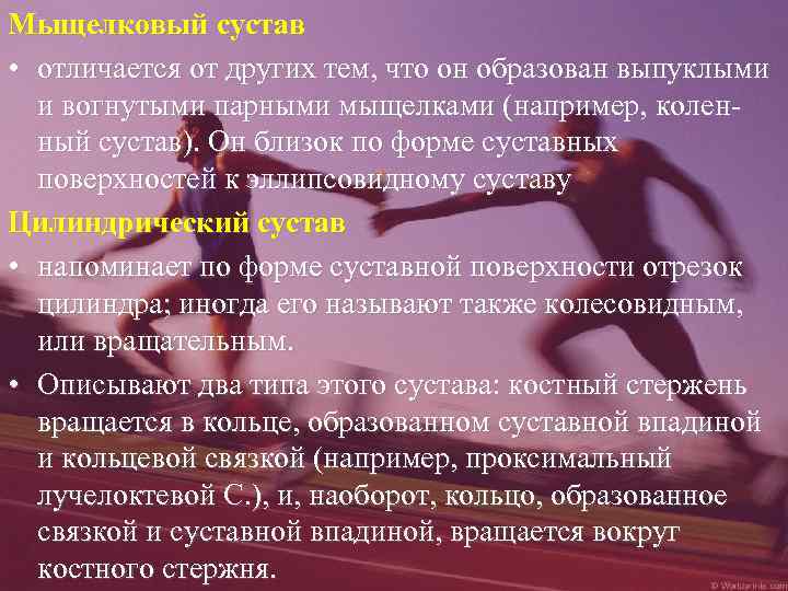 Мыщелковый сустав • отличается от других тем, что он образован выпуклыми и вогнутыми парными