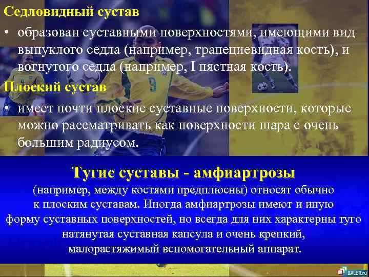 Седловидный сустав • образован суставными поверхностями, имеющими вид выпуклого седла (например, трапециевидная кость), и