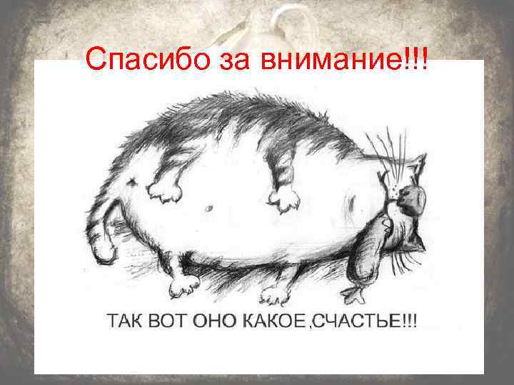 Спасибо за внимание!!! , 