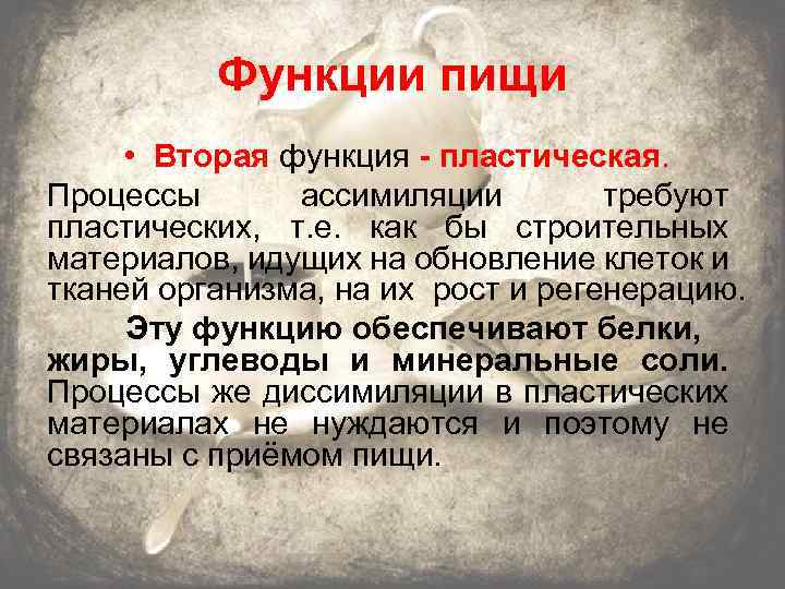 Функции пищи. Пластическая функция пищи. Функции пищи кратко. Функции питания и их описания.