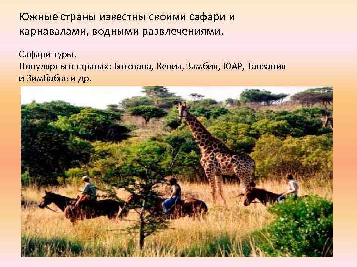 Южные страны известны своими сафари и карнавалами, водными развлечениями. Сафари-туры. Популярны в странах: Ботсвана,