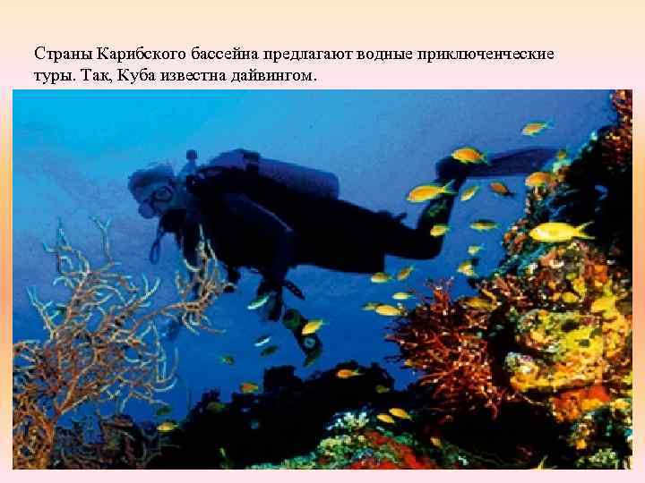 Страны Карибского бассейна предлагают водные приключенческие туры. Так, Куба известна дайвингом. 