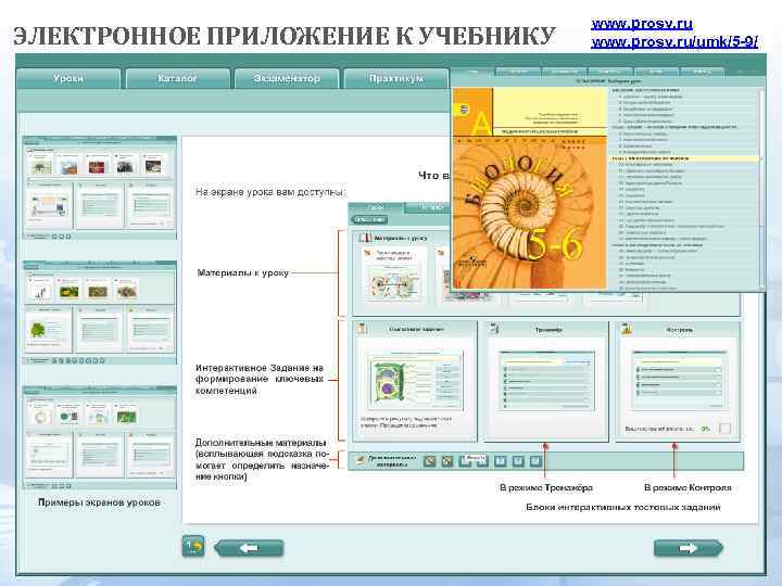 Электронное приложение 7 класс