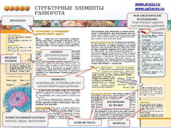 www. prosv. ru www. spheres. ru СТРУКТУРНЫЕ ЭЛЕМЕНТЫ РАЗВОРОТА МОИ БИОЛОГИЧЕСКИЕ ИССЛЕДОВАНИЯ. ПРАКТИЧЕСКИЕ ЗАДАНИЯ