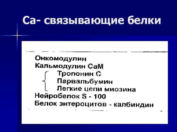 Са- связывающие белки 