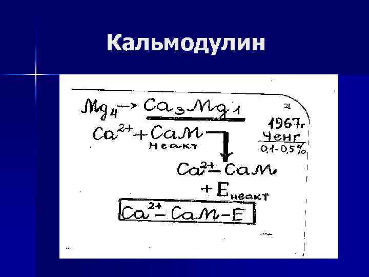 Кальмодулин 