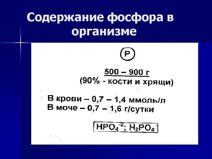 Содержание фосфора в организме 