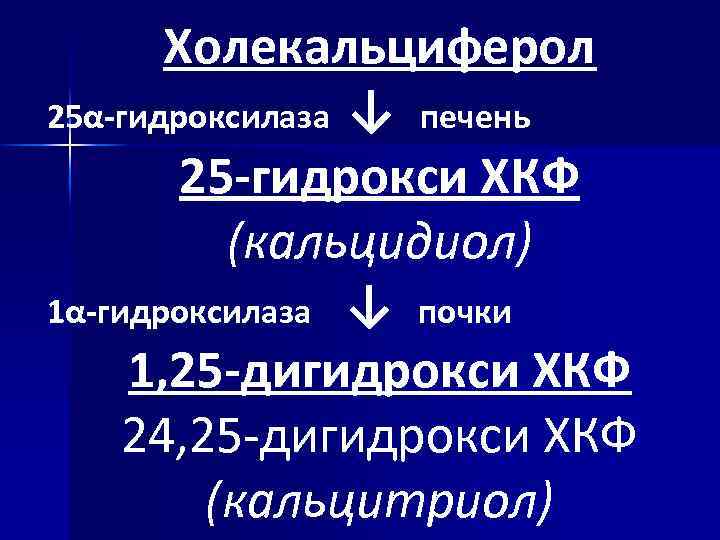 Холекальциферол 25α-гидроксилаза ↓ печень 25 -гидрокси ХКФ (кальцидиол) 1α-гидроксилаза ↓ почки 1, 25 -дигидрокси