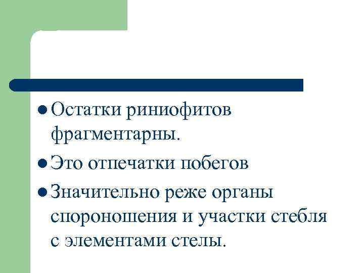 l Остатки риниофитoв фрагментарны. l Это отпечатки побегов l Значительно реже oрганы спороношения и