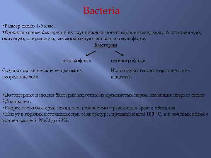 Bacteria §Размер около 1 -5 мкм. §Одноклеточные бактерии и их группировки могут иметь нитевидную,