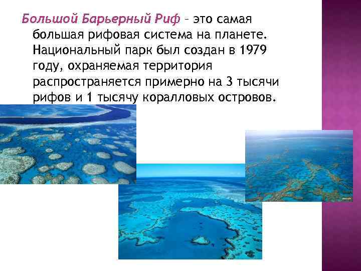 Большой барьерный риф ответ. Большой Барьерный риф всемирное наследие. Большой Барьерный риф доклад. Большой Барьерный риф сообщение 3 класс окружающий мир. Большой Барьерный риф сообщение.