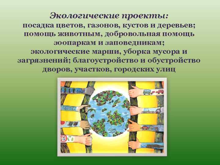 Экологические проекты: посадка цветов, газонов, кустов и деревьев; помощь животным, добровольная помощь зоопаркам и