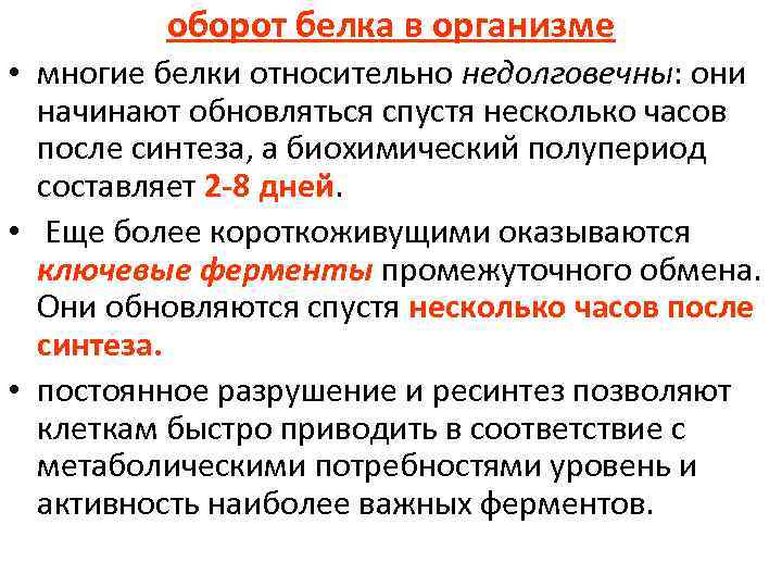 оборот белка в организме • многие белки относительно недолговечны: они начинают обновляться спустя несколько