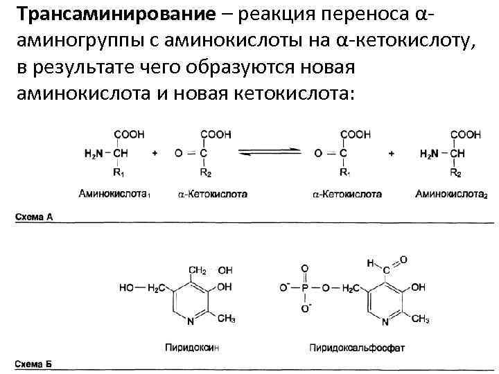 Трансаминирование – реакция переноса αаминогруппы с аминокислоты на α-кетокислоту, в результате чего образуются новая