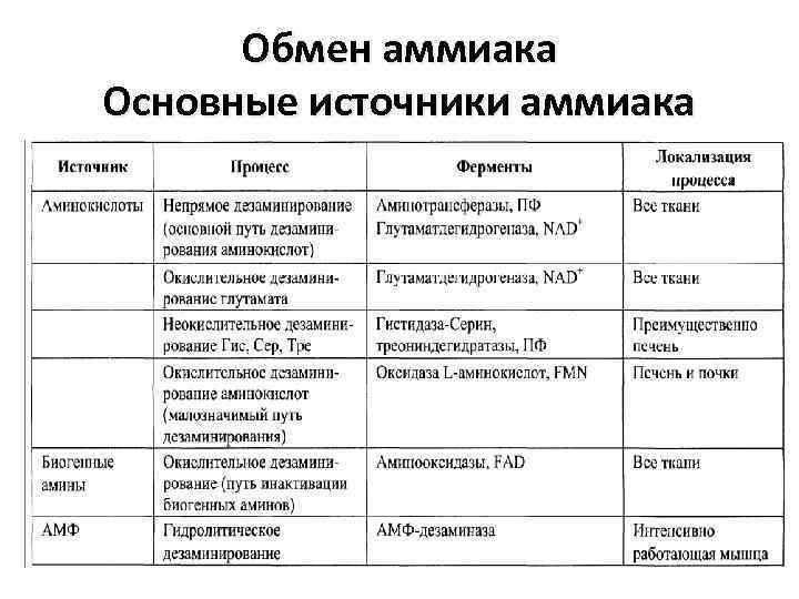 Обмен аммиака Основные источники аммиака 