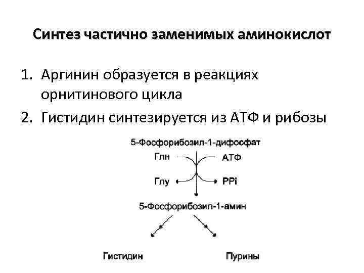 Аминокислоты поурочный план