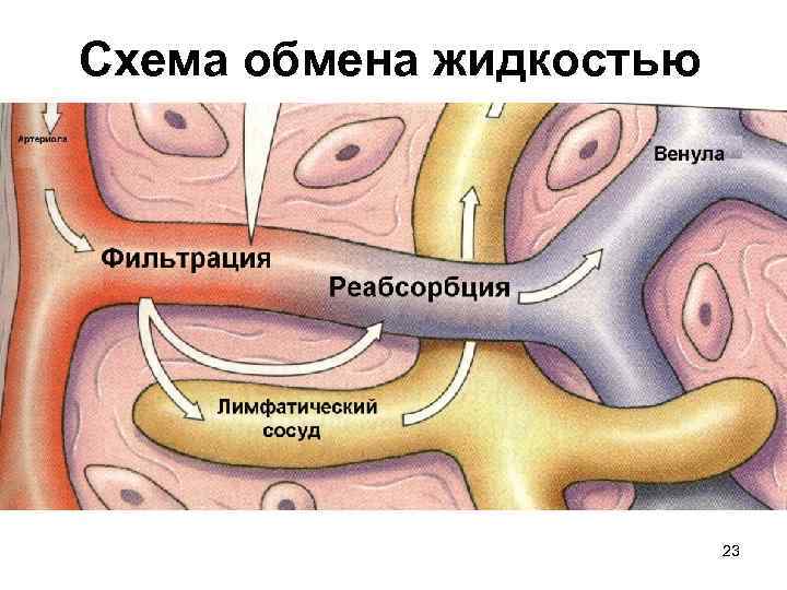Схема обмена жидкостью 23 