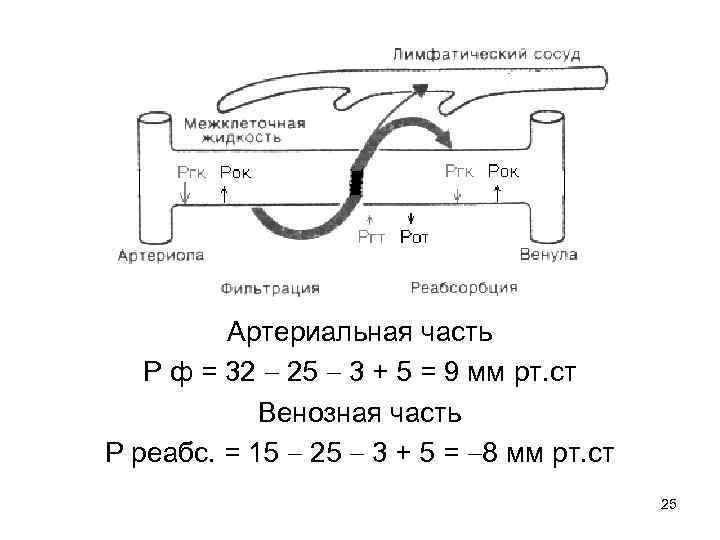 Артериальная часть Р ф = 32 25 3 + 5 = 9 мм рт.