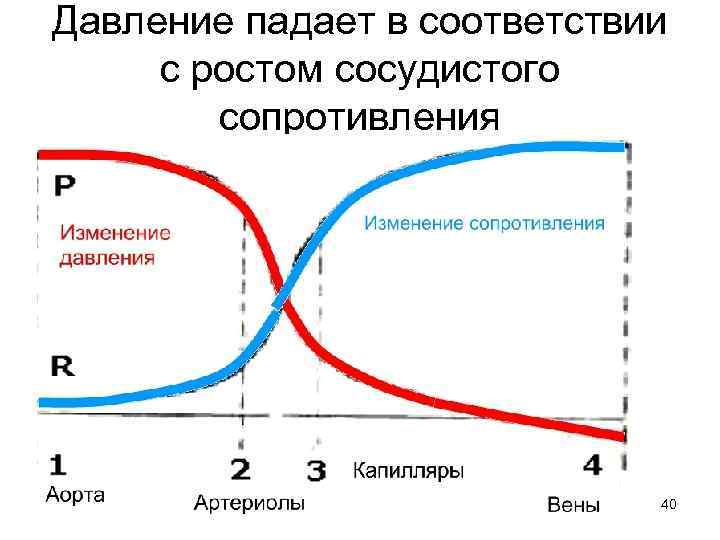 Давление падает в соответствии с ростом сосудистого сопротивления 40 