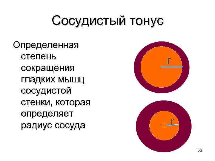 Радиус сосуда