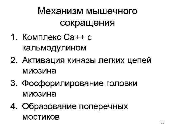Механизм мышечного сокращения 1. Комплекс Са++ с кальмодулином 2. Активация киназы легких цепей миозина