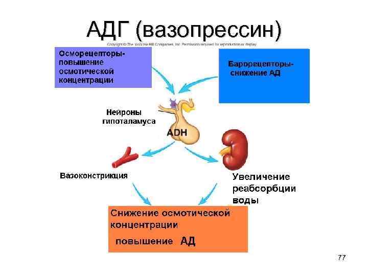 Неадекватная секреция антидиуретического гормона