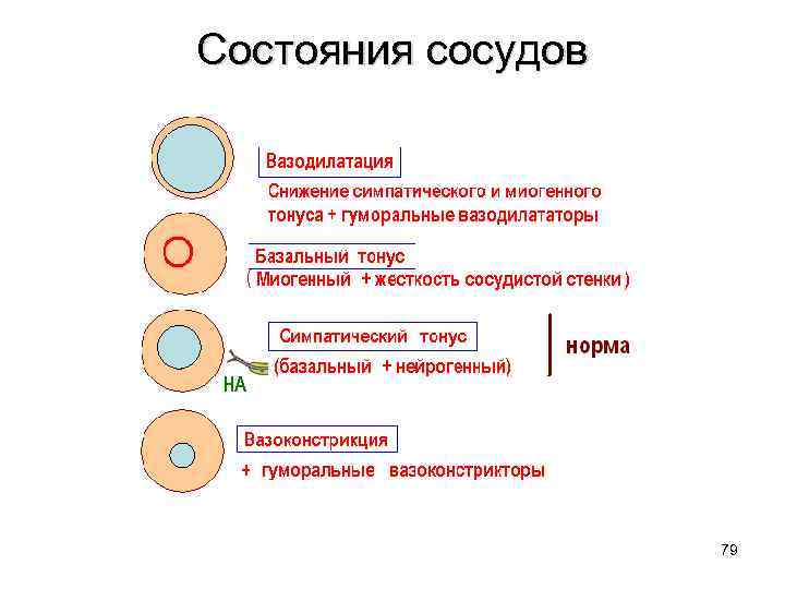 Качество пульса характеризующее состояние сосудистой стенки