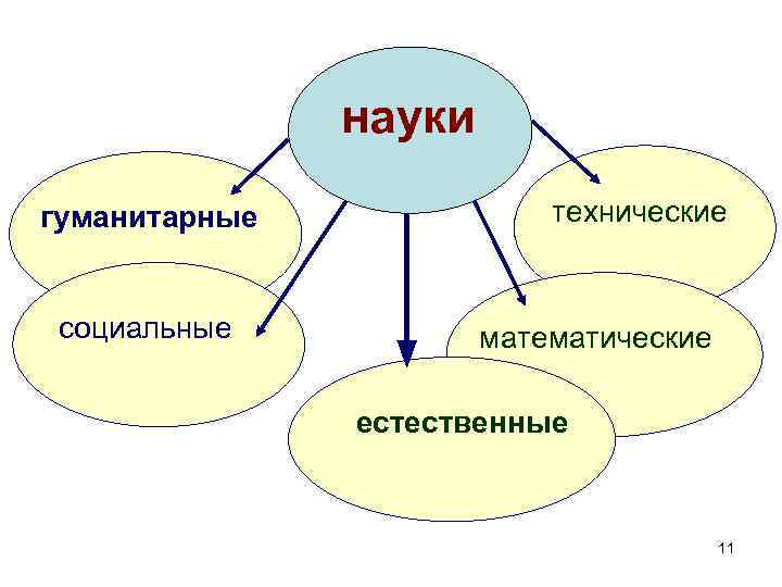 науки гуманитарные социальные технические математические естественные 11 