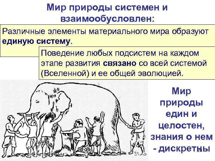 Мир природы системен и взаимообусловлен: Различные элементы материального мира образуют единую систему. Поведение любых