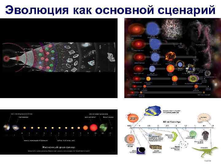 Эволюция как основной сценарий 35 