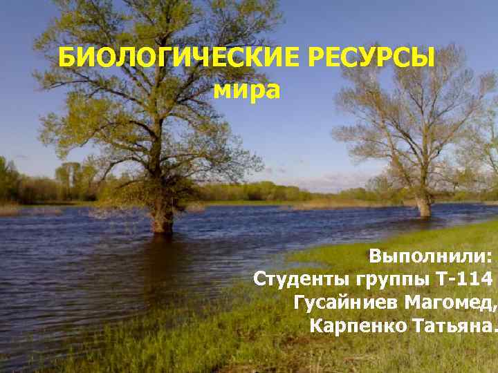 БИОЛОГИЧЕСКИЕ РЕСУРСЫ мира Выполнили: Студенты группы Т-114 Гусайниев Магомед, Карпенко Татьяна. 