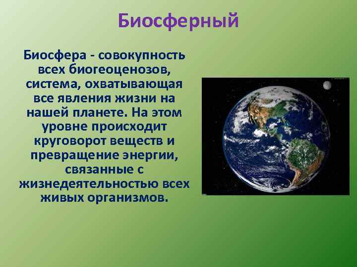 Биосферный уровень общая характеристика. Биосфера. Биосфера это совокупность всех биогеоценозов. Биосферный уровень организации живой природы. Биосфера — Живая оболочка планеты.