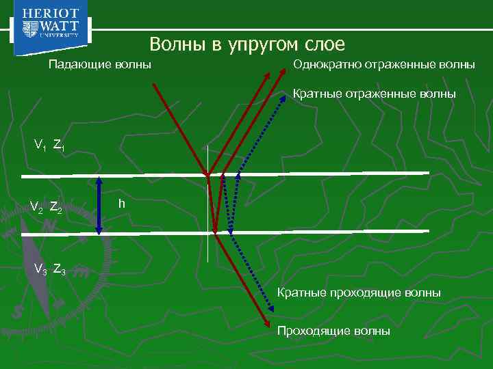 На рисунке схематически изображено распространение сейсмической волны