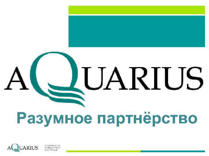 Разумное партнёрство 