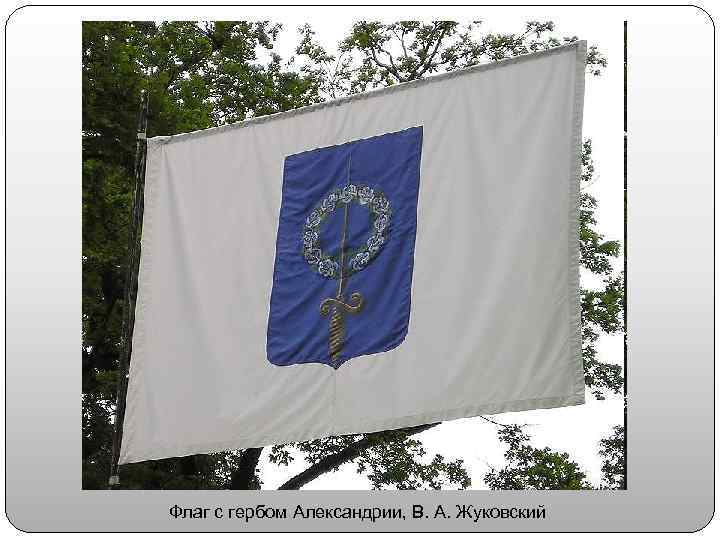 Флаг с гербом Александрии, В. А. Жуковский 