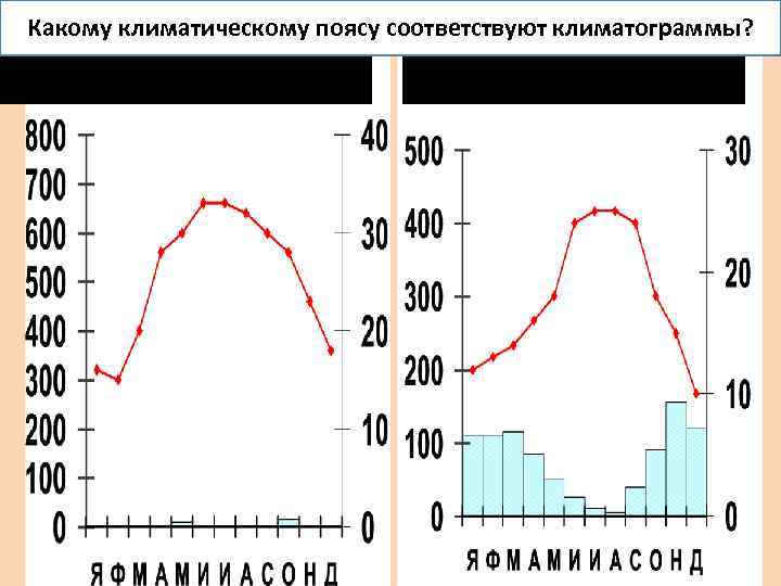 Какому климатическому поясу соответствуют климатограммы? 