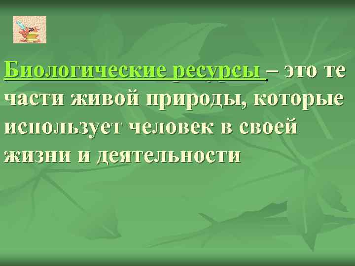 Биологические ресурсы – это те части живой природы, которые использует человек в своей жизни