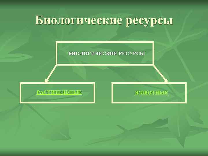 Биологические ресурсы БИОЛОГИЧЕСКИЕ РЕСУРСЫ РАСТИТЕЛЬНЫЕ ЖИВОТНЫЕ 