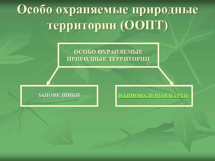 Особо охраняемые природные территории (ООПТ) ОСОБО ОХРАНЯЕМЫЕ ПРИРОДНЫЕ ТЕРРИТОРИИ ЗАПОВЕДНИКИ НАЦИОНАЛЬНЫЕ ПАРКИ 