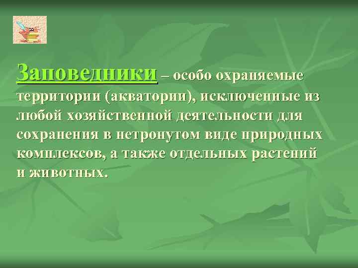 Заповедники – особо охраняемые территории (акватории), исключенные из любой хозяйственной деятельности для сохранения в