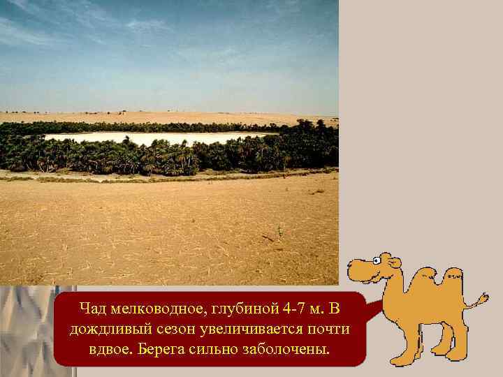 Чад мелководное, глубиной 4 -7 м. В дождливый сезон увеличивается почти вдвое. Берега сильно