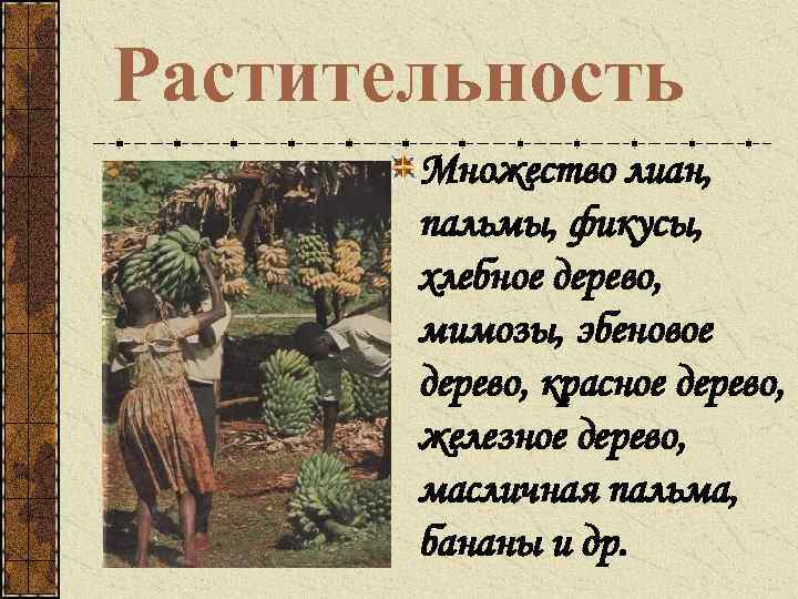 Растительность Множество лиан, пальмы, фикусы, хлебное дерево, мимозы, эбеновое дерево, красное дерево, железное дерево,