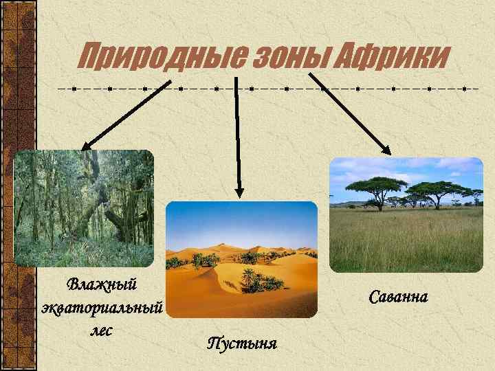 Природные зоны Африки Влажный экваториальный лес Саванна Пустыня 