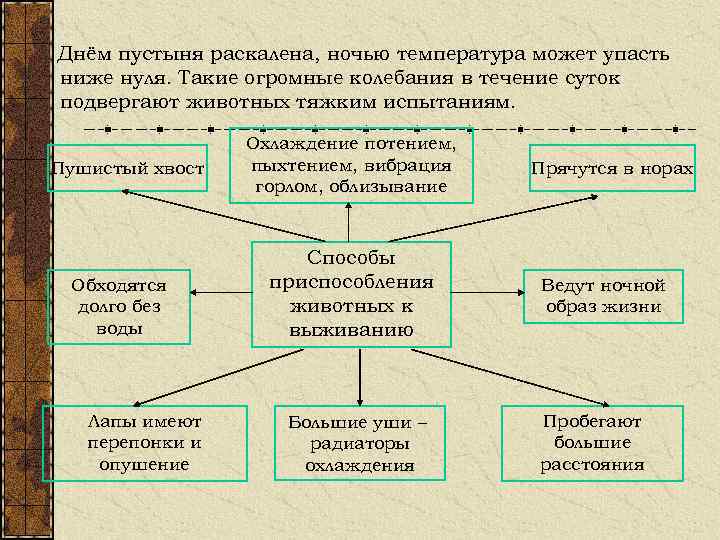 Днём пустыня раскалена, ночью температура может упасть ниже нуля. Такие огромные колебания в течение